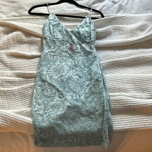 Tiger mist lace dress with undergarment liner